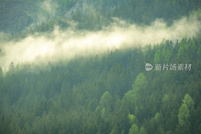 春天在Zgornje Jezersko山谷森林上空的云层